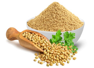 Coriander Seeds / Powder