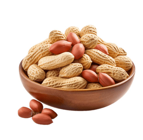 Groundnut