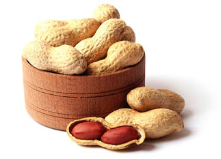 Groundnut (Peanut)
