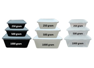 Rectangular plastic food storage containers